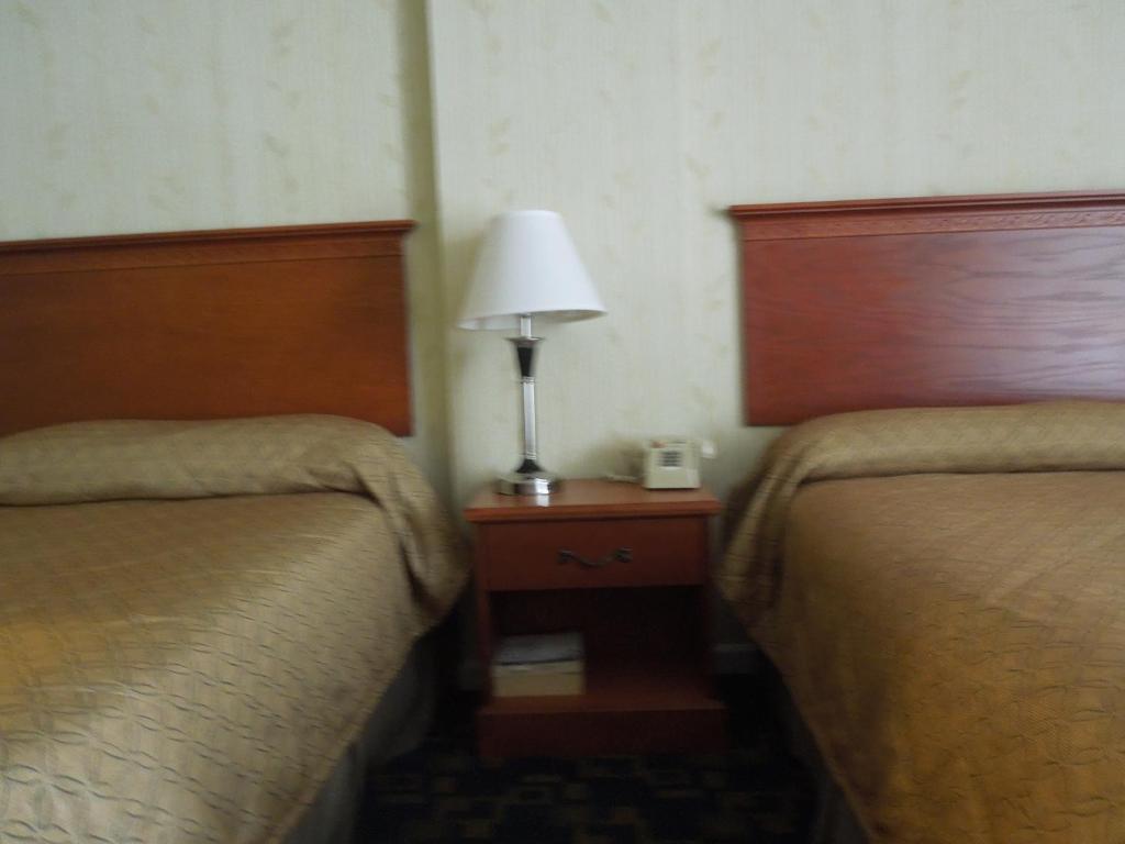 Seahawk Motel Virginia Beach Rom bilde